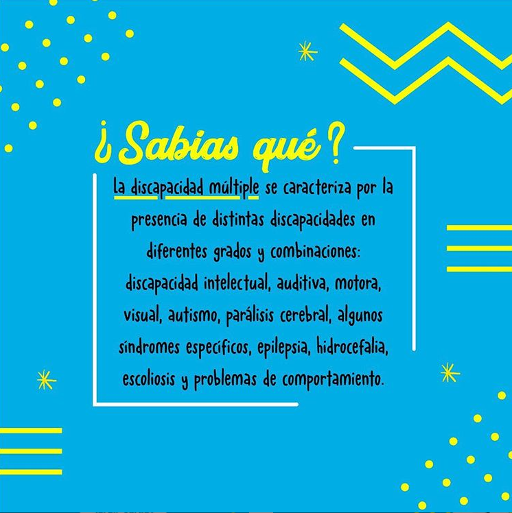 definicion discapacidad multiple
